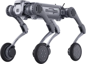 B2-W