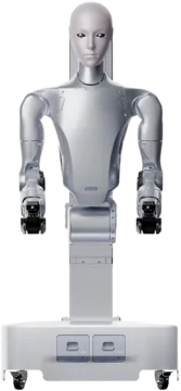 H2-D Standard A
